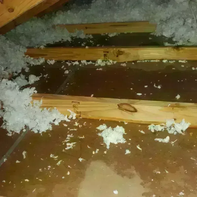 Attic Water Damage in Orange, VA