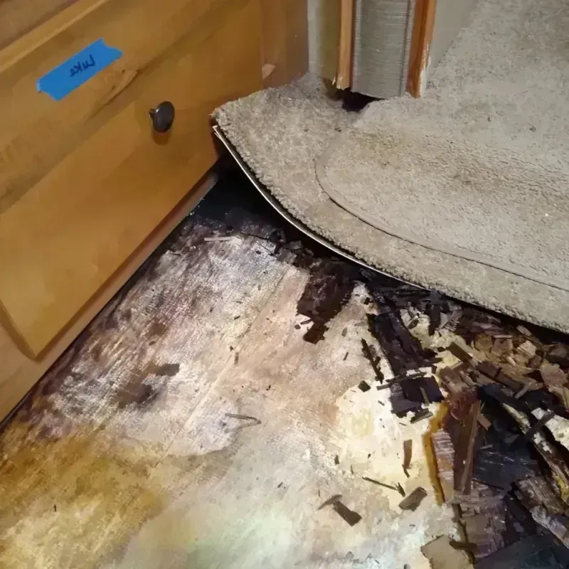 Wood Floor Water Damage in Orange, VA